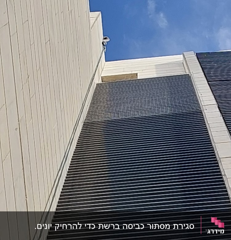קיר בניין עם רשת למניעת יונים
